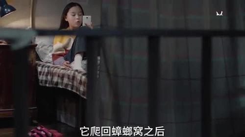 台湾姐姐爆料视频大全集,揭秘娱乐圈幕后真相